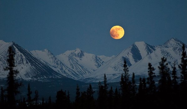 Обои на рабочий стол: Denali National Park, аляска, вечер, горы, деревья, зима, луна, небо, полнолуние, скалы, снег, сша