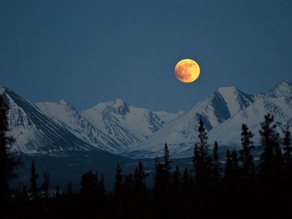 Denali National Park, аляска, вечер, горы, деревья, зима, луна, небо, полнолуние, скалы, снег, сша