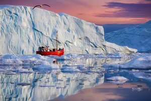 Обои на рабочий стол: Denmark, Disko Bay, Greenland, айсберги, Гренландия, Дания, Залив Диско, кораблик, льды, море, отражение, судёнышко, чайка
