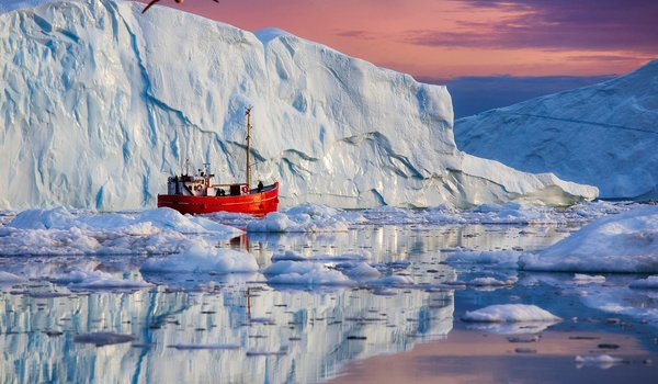 Обои на рабочий стол: Denmark, Disko Bay, Greenland, айсберги, Гренландия, Дания, Залив Диско, кораблик, льды, море, отражение, судёнышко, чайка