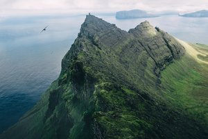 Обои на рабочий стол: горы, острова, птица, скалы, Фарерские острова