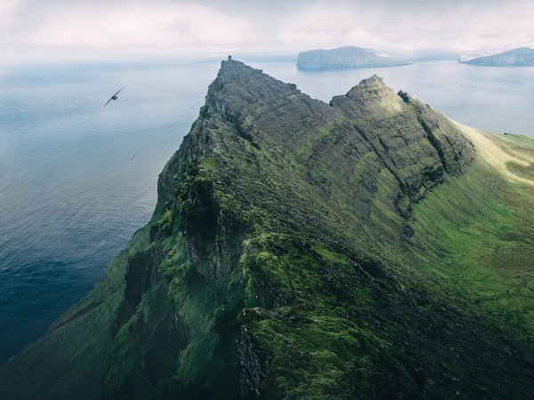 горы, острова, птица, скалы, Фарерские острова