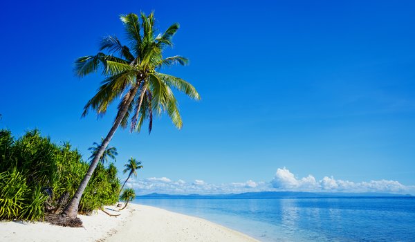 Обои на рабочий стол: море, пальмы, пляж, побережье, природа, тропики, Филиппины