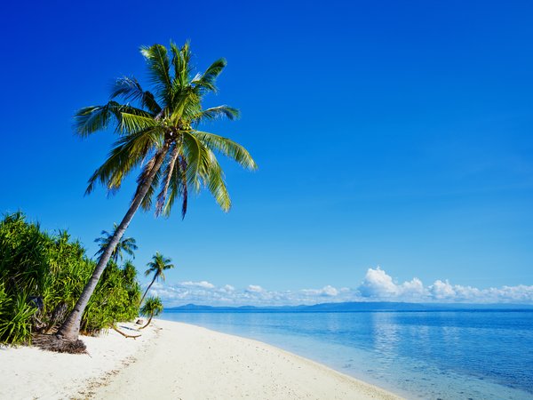 море, пальмы, пляж, побережье, природа, тропики, Филиппины