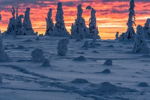 Обои на рабочий стол: National Park, Riisitunturi, деревья, зима, пейзаж, природа, рассвет, снег, утро, Финляндия