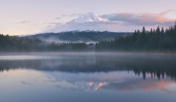 Обои на рабочий стол: гора, лес, озеро, отражения, туман