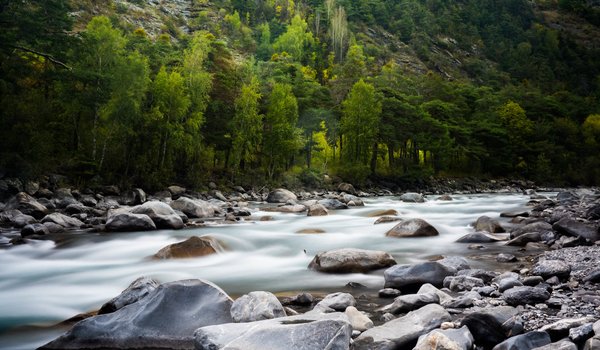 Обои на рабочий стол: forest, landscape, mountain river, mountains, nature, plants, stones, valley, горная река, горы, долина, камни, лес, пейзаж, природа, растения