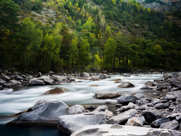 forest, landscape, mountain river, mountains, nature, plants, stones, valley, горная река, горы, долина, камни, лес, пейзаж, природа, растения