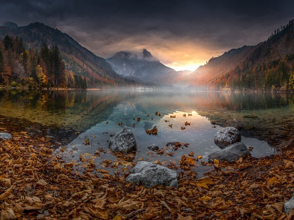 Langbathsee, австрия, горы, листья, озеро, сень