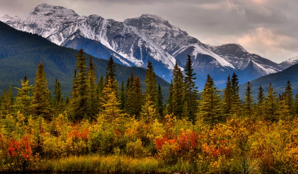 Обои на рабочий стол: Alberta, Banff National Park, canada, Canadian Rockies, Альберта, горы, деревья, канада, Канадские Скалистые горы, кусты, Национальный парк Банф, осень