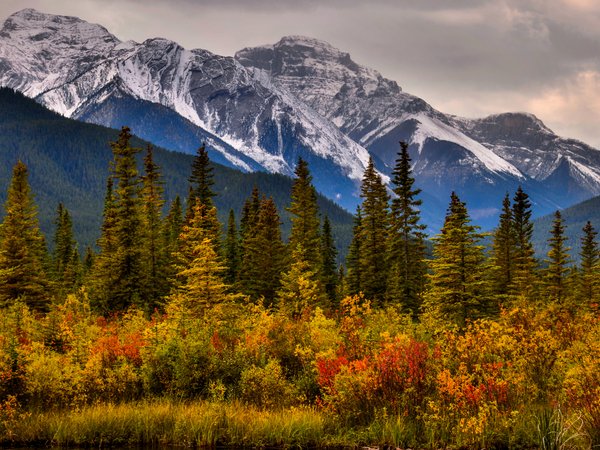 Alberta, Banff National Park, canada, Canadian Rockies, Альберта, горы, деревья, канада, Канадские Скалистые горы, кусты, Национальный парк Банф, осень