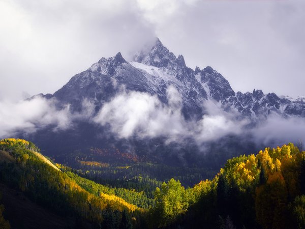 гора, горы, лес, осень
