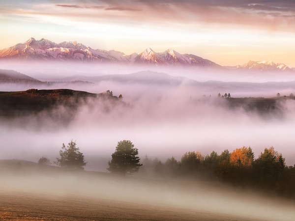 горы, Карпаты, осень, туман, утро