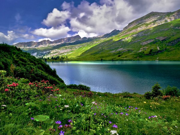 Engstlen Lake, горы, озеро, швейцария