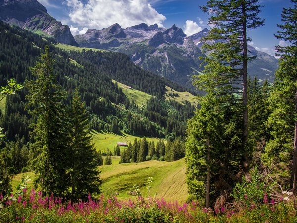 Sanetschhorn, Альпы, горы, швейцария