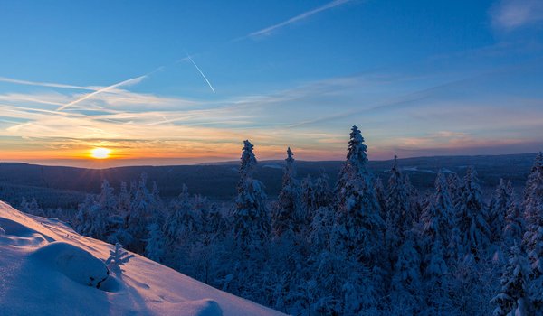 Обои на рабочий стол: germany, Harz National Park, Lower Saxony, германия, ели, закат, зима, лес, Национальный парк Гарц, Нижняя Саксония, снег