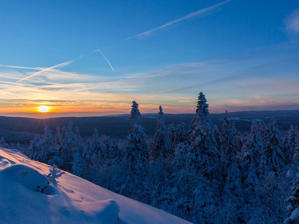 germany, Harz National Park, Lower Saxony, германия, ели, закат, зима, лес, Национальный парк Гарц, Нижняя Саксония, снег