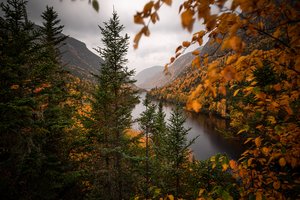 Обои на рабочий стол: canada, Hautes-Gorges-de-la-Rivière-Malbaie National Park, Laurentian Mountains, Malbaie River, Quebec, ветки, горы, деревья, ели, желтые листья, канада, Квебек, Лаврентийские горы, осень, река, Река Мальбае