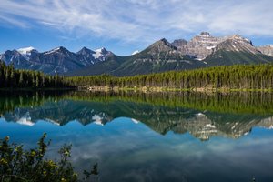 Обои на рабочий стол: Alberta, Banff National Park, canada, Herbert Lake, Rocky Mountains, Альберта, горы, канада, лес, Национальный парк Банф, озеро, Озеро Херберт, отражение, Скалистые горы