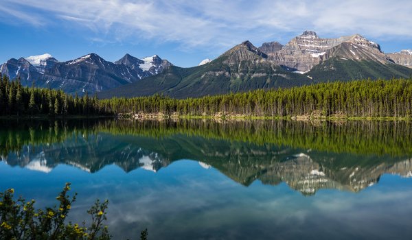 Обои на рабочий стол: Alberta, Banff National Park, canada, Herbert Lake, Rocky Mountains, Альберта, горы, канада, лес, Национальный парк Банф, озеро, Озеро Херберт, отражение, Скалистые горы