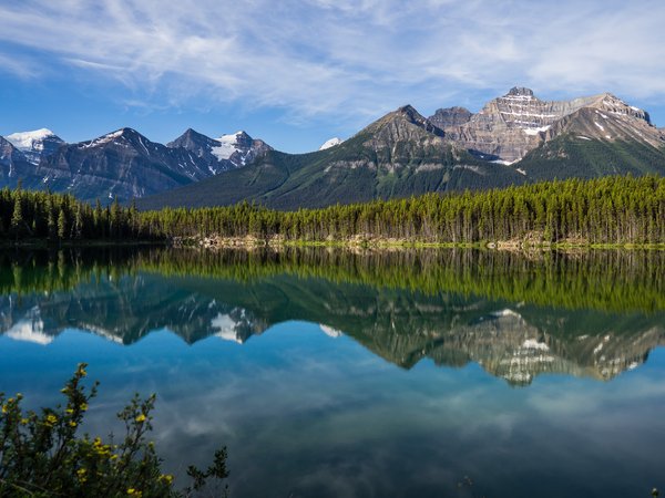 Alberta, Banff National Park, canada, Herbert Lake, Rocky Mountains, Альберта, горы, канада, лес, Национальный парк Банф, озеро, Озеро Херберт, отражение, Скалистые горы