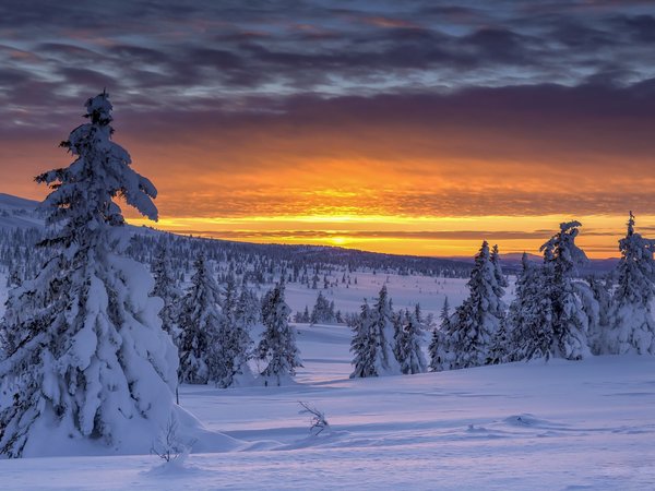 Hornsjø Sunset, norway, Oppland, Sjøsætra