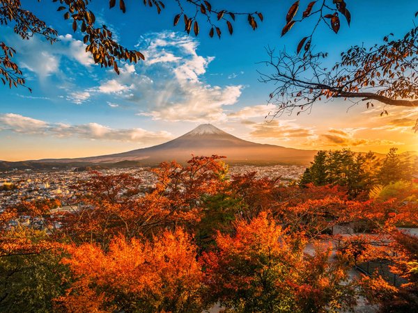 Kawaguchi, ветки, гора, закат, Кавагути, лучи, осень, пейзаж, природа, солнце, Фуджи, япония