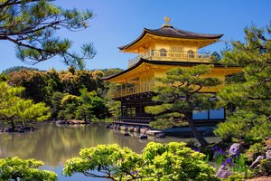 Обои на рабочий стол: вилла, деревья, Золотой павильон, Кинкаку-дзи, киото, павильон, парк, пейзаж, природа, пруд, Рокуон-дзи, храм, япония