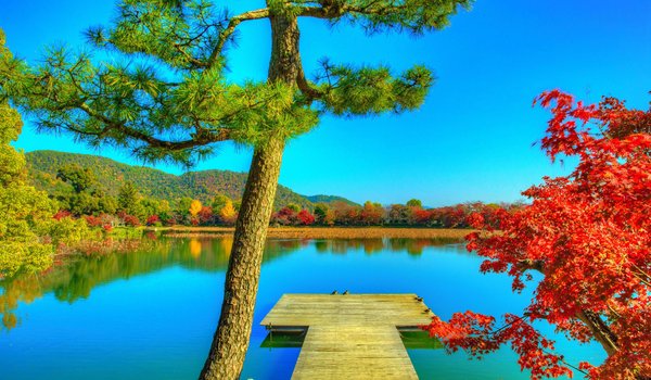 Обои на рабочий стол: Daikaku-ji, hdr, деревья, киото, осень, природа, причал, пруд, фото, япония