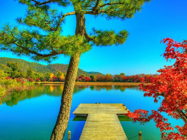 Daikaku-ji, hdr, деревья, киото, осень, природа, причал, пруд, фото, япония