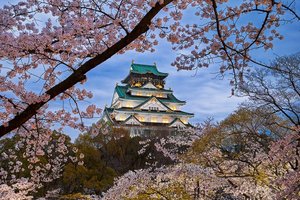 Обои на рабочий стол: весна, деревья, Осака, пейзаж, природа, сакура, храм, цветение, япония