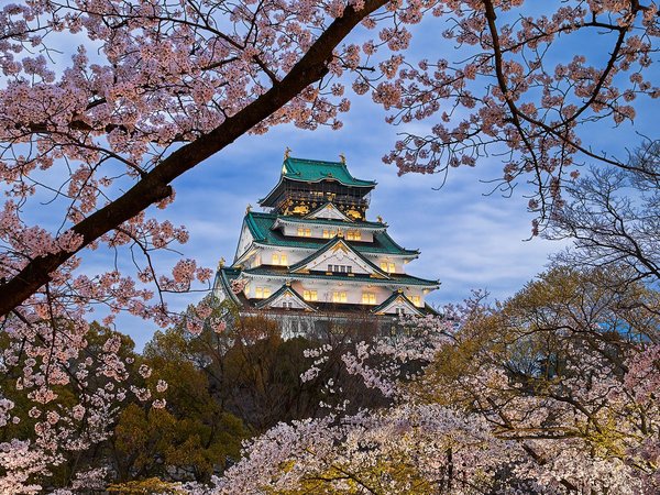 весна, деревья, Осака, пейзаж, природа, сакура, храм, цветение, япония