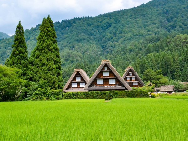 городок, дома, Кавагучико, леса, лето, пейзаж, природа, холмы, япония