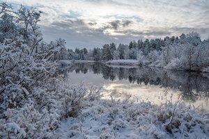 Обои на рабочий стол: Finland, Inari, Lapland, зима, Инари, кусты, Лапландия, лес, озеро, отражение, снег, Финляндия
