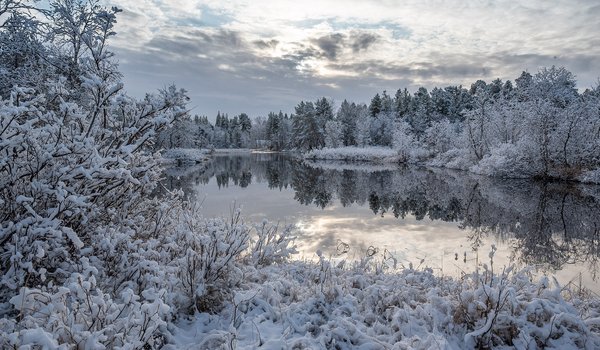 Обои на рабочий стол: Finland, Inari, Lapland, зима, Инари, кусты, Лапландия, лес, озеро, отражение, снег, Финляндия