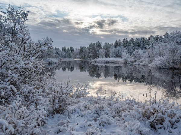 Finland, Inari, Lapland, зима, Инари, кусты, Лапландия, лес, озеро, отражение, снег, Финляндия