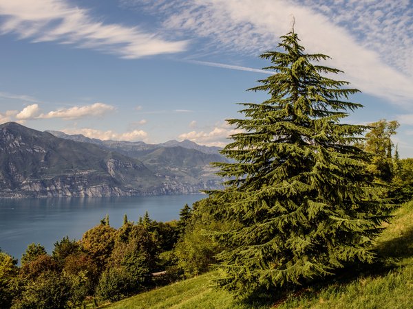 italy, Lago di Garda, Lake Garda, горы, италия, озеро
