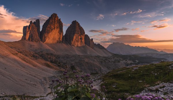 Обои на рабочий стол: Tre Cime di Lavaredo, горы, Доломиты, Еди Адамов, италия, пейзаж, подножие, природа, рассвет, растительность, утро, цветы
