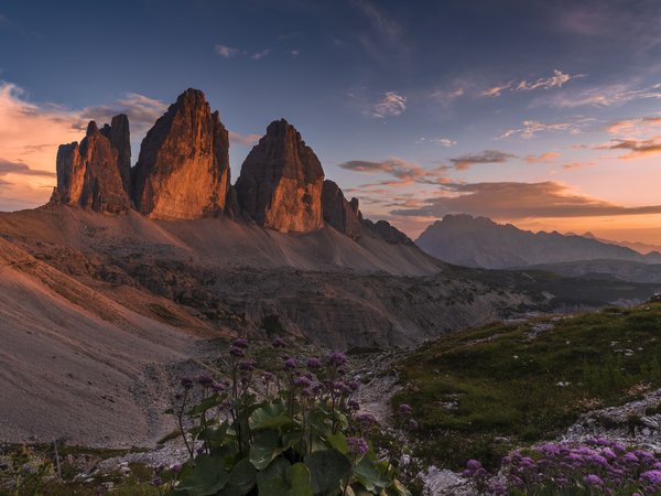 Tre Cime di Lavaredo, горы, Доломиты, Еди Адамов, италия, пейзаж, подножие, природа, рассвет, растительность, утро, цветы