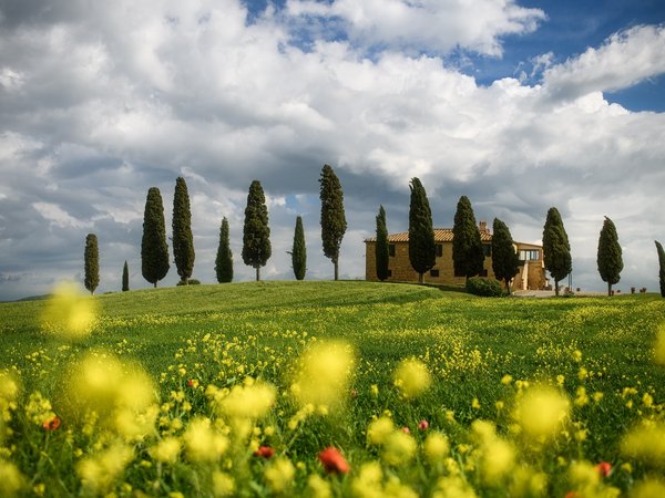 весна, деревья, италия, кипарисы, луга, облака, пейзаж, природа, Тоскана, цветы