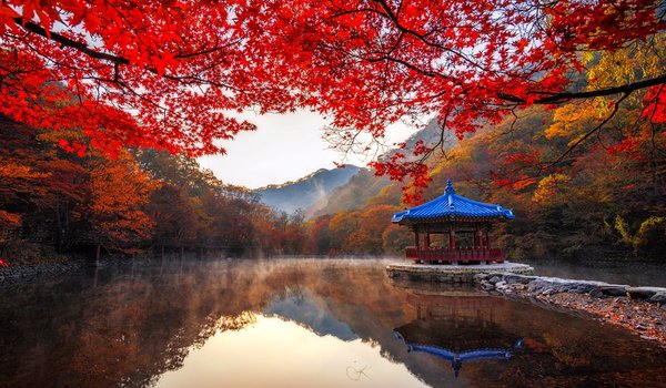 Обои на рабочий стол: Naejangsan, беседка, ветки, горы, деревья, осень, павильон, парк, пейзаж, природа, пруд, туман, южная корея