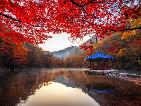 Naejangsan, беседка, ветки, горы, деревья, осень, павильон, парк, пейзаж, природа, пруд, туман, южная корея