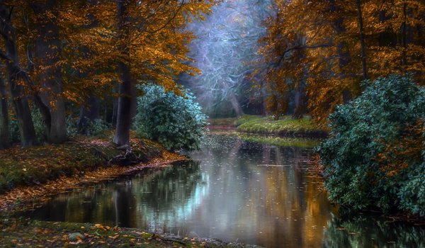 Обои на рабочий стол: Jan-Herman Visser, водоем, голландия, деревья, лучи, осень, парк, природа, свет