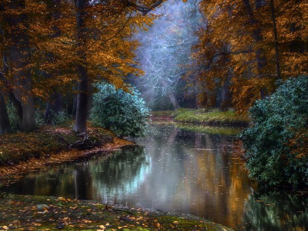 Jan-Herman Visser, водоем, голландия, деревья, лучи, осень, парк, природа, свет