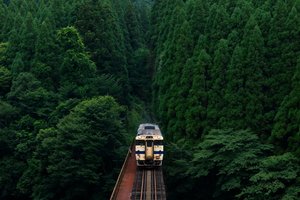 Обои на рабочий стол: Abandoned, forest, green, japan, railway, train