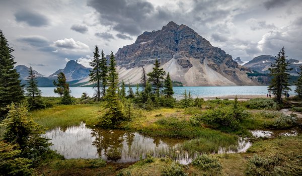 Обои на рабочий стол: Alberta, Banff National Park, Bow Lake, Альберта, горы, деревья, канада, озеро