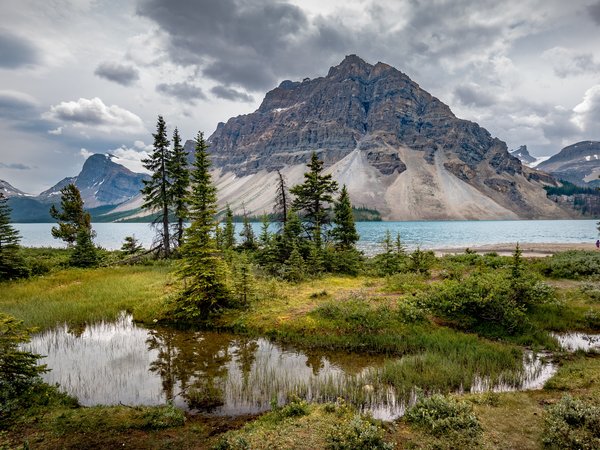 Alberta, Banff National Park, Bow Lake, Альберта, горы, деревья, канада, озеро