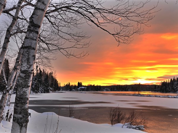 Alain Audet, берега, берёзы, деревья, закат, зима, канада, Квебек, леса, озеро, пейзаж, природа