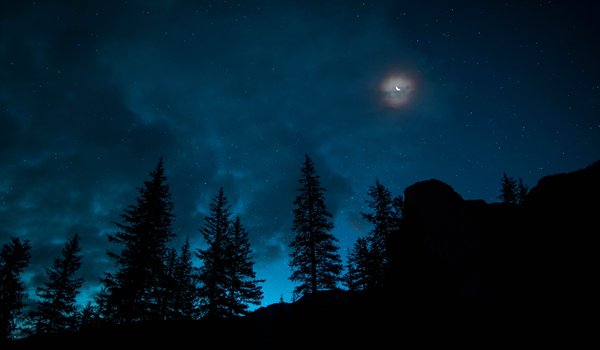 Обои на рабочий стол: ель, звезды, канада, лес, луна, месяц, Национальный парк Банф, небо, ночь