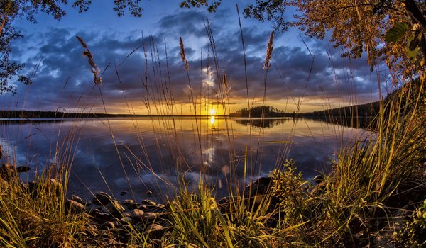 Обои на рабочий стол: Finland, Karijarvi Lake, Kouvola, закат, камыш, Коувола, озеро, Озеро Кариярви, Финляндия